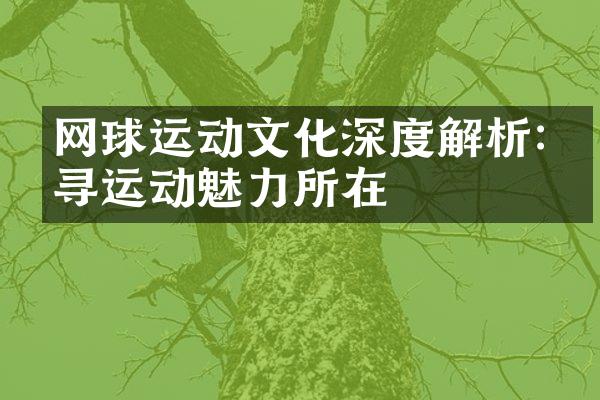 网球运动文化深度解析:探寻运动魅力所在