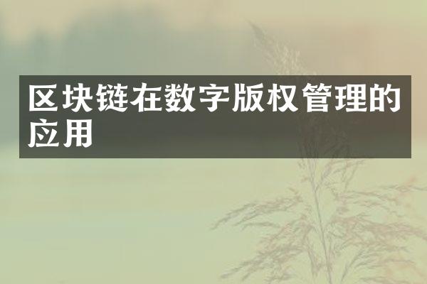 区块链在数字版权管理的应用