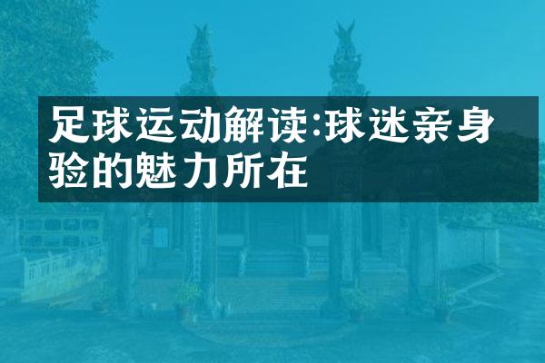 足球运动解读:球迷亲身体验的魅力所在