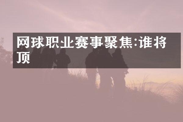 网球职业赛事聚焦:谁将登顶