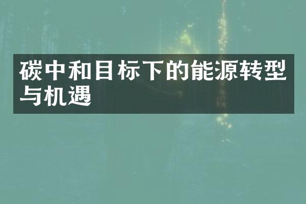 碳中和目标下的能源转型与机遇