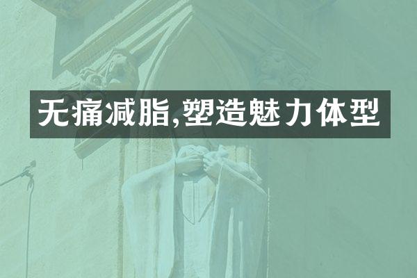 无痛减脂,塑造魅力体型