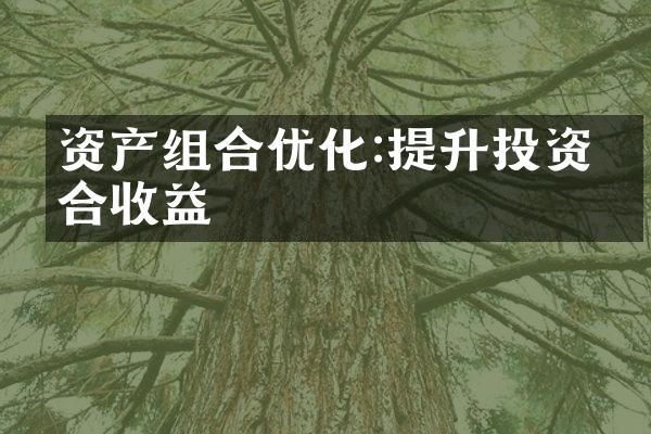 资产组合优化:提升投资组合收益