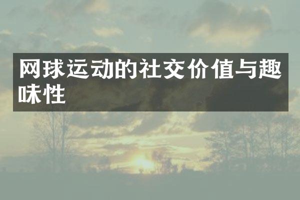 网球运动的社交价值与趣味性