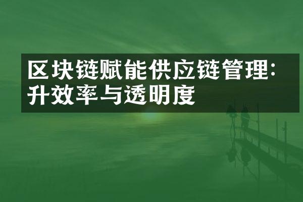 区块链赋能供应链管理:提升效率与透明度