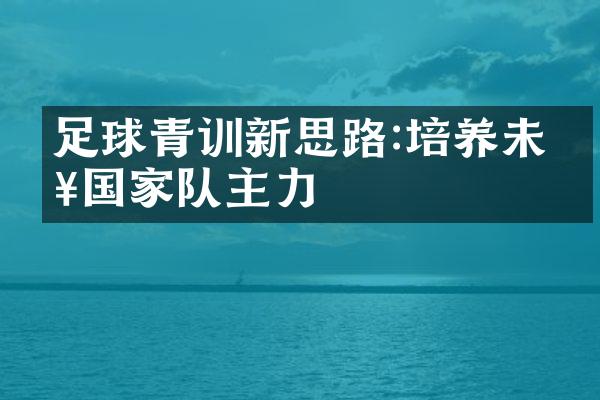 足球青训新思路:培养未来国家队主力