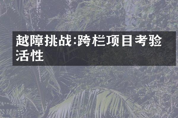 越障挑战:跨栏项目考验灵活性