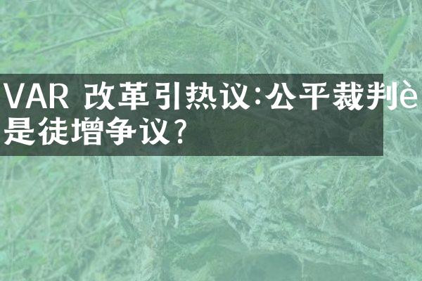 VAR 改革引热议:公平裁判还是徒增争议?