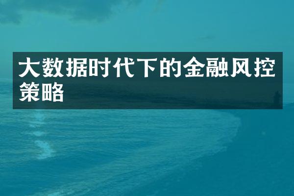 大数据时代下的金融风控策略