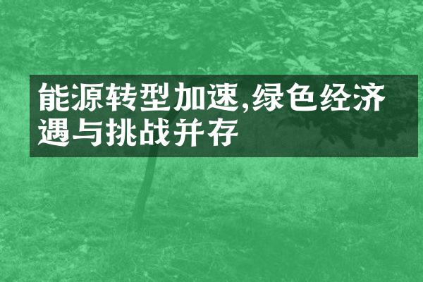 能源转型加速,绿色经济机遇与挑战并存