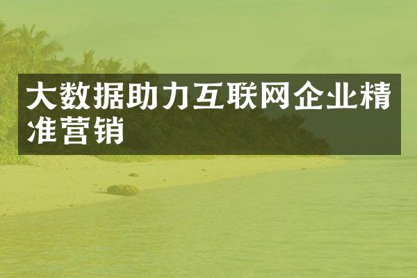 数据助力互联网企业精准营销