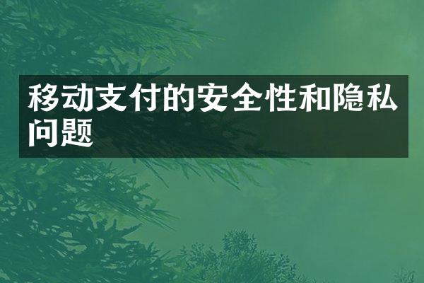 移动支付的安全性和隐私问题