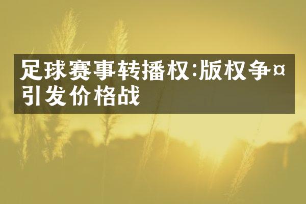 足球赛事转播权:版权争夺引发价格战