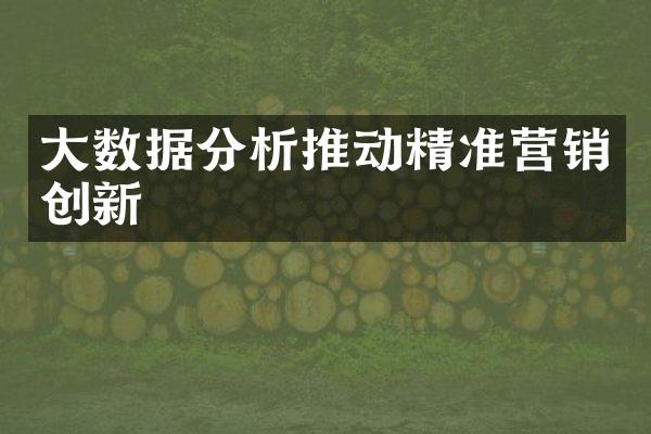 大数据分析推动精准营销创新