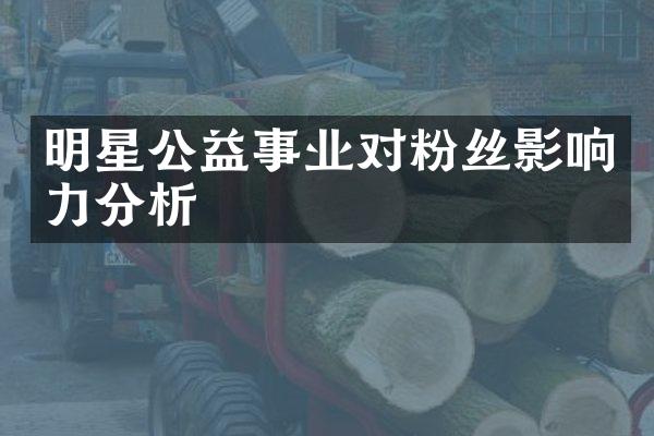 明星公益事业对粉丝影响力分析