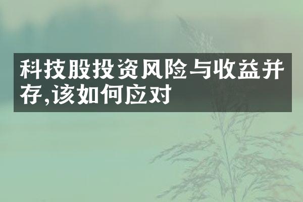 科技股投资风险与收益并存,该如何应对