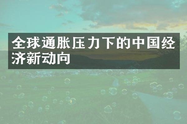 全球通胀压力下的中国经济新动向