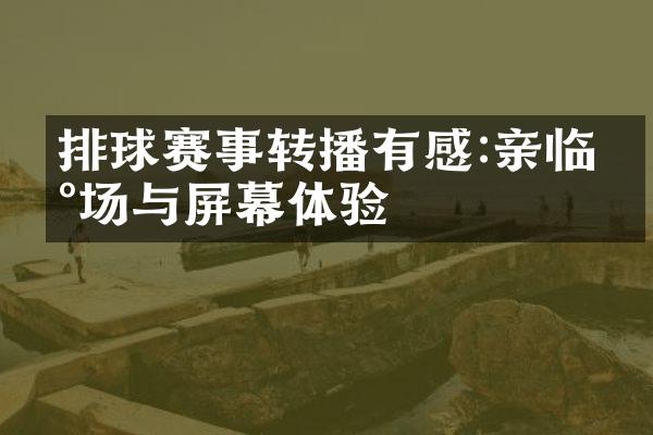 排球赛事转播有感:亲临现场与屏幕体验