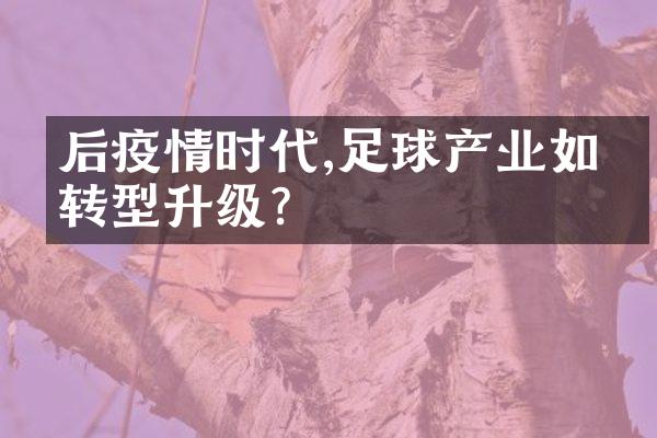 后疫情时代,足球产业如何转型升级?