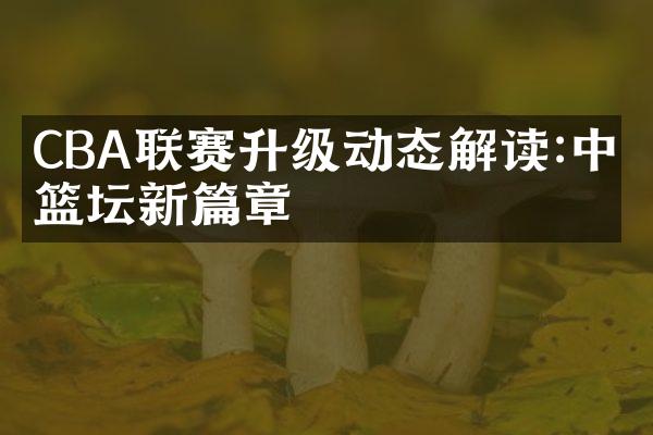 CBA联赛升级动态解读:中国篮坛新篇章