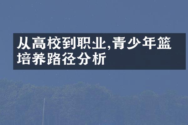 从高校到职业,青少年篮球培养路径分析