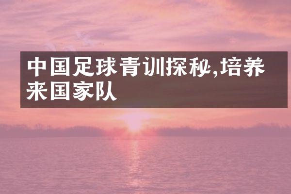 足球青训探秘,培养未来队