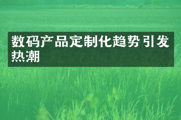 数码产品定制化趋势引发热潮