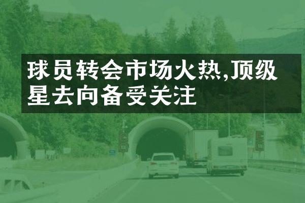 球员转会市场火热,顶级球星去向备受关注