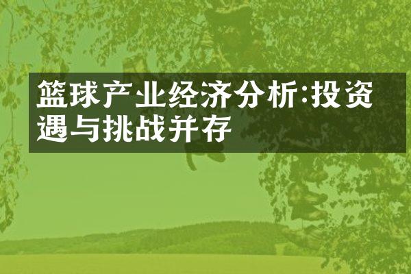 篮球产业经济分析:投资机遇与挑战并存