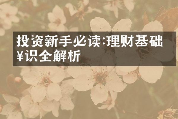 投资新手必读:理财基础知识全解析