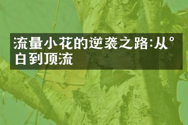 流量小花的逆袭之路:从小白到顶流