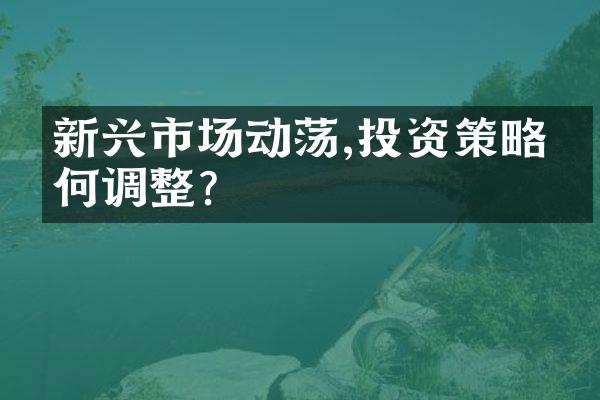 新兴市场动荡,投资策略如何调整?