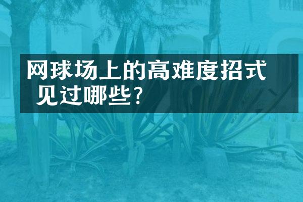 网球场上的高难度招式 你见过哪些?