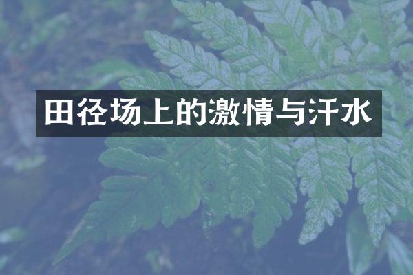 田径场上的激情与汗水