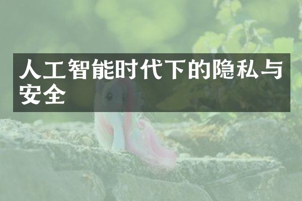 人工智能时代下的隐私与安全