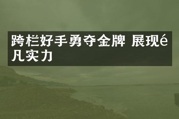 跨栏好手勇夺金牌 展现非凡实力