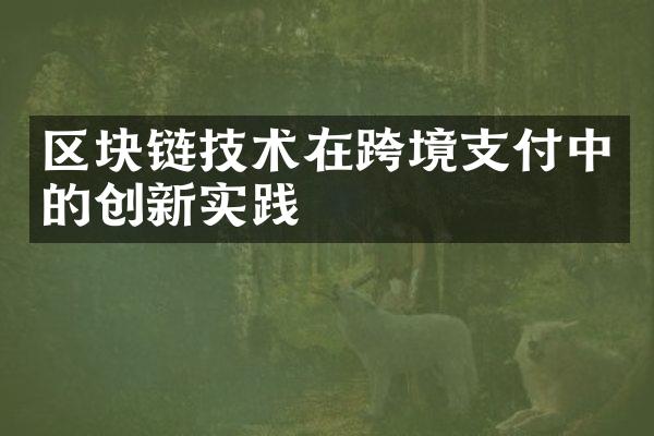 区块链技术在跨境支付中的创新实践