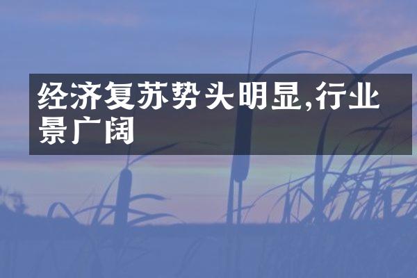 经济复苏势头明显,行业前景广阔