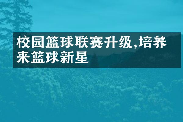 校园篮球联赛升级,培养未来篮球新星