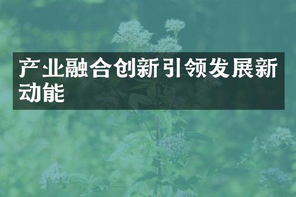 产业融合创新引领发展新动能