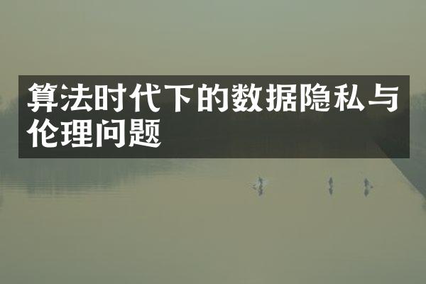 算法时代下的数据隐私与伦理问题