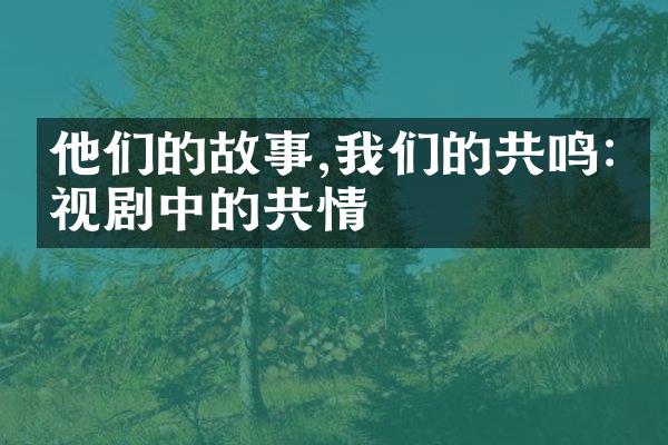 他们的故事,我们的共鸣:电视剧中的共情