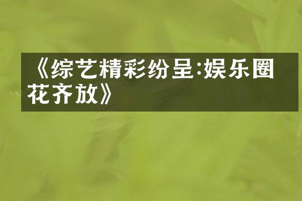 《综艺精彩纷呈:娱乐圈百花齐放》