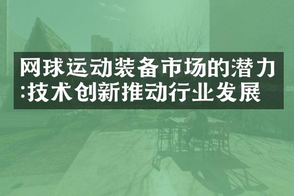 网球运动装备市场的潜力:技术创新推动行业发展