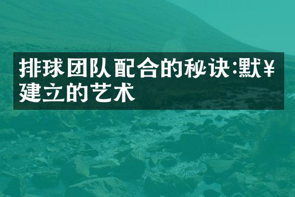 排球团队配合的秘诀:默契建立的艺术