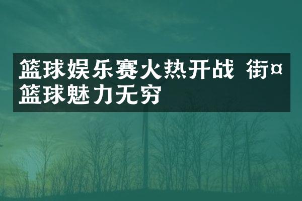 篮球娱乐赛火热开战 街头篮球魅力无穷