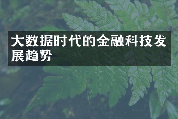 大数据时代的金融科技发展趋势