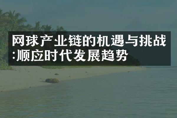 网球产业链的机遇与挑战:顺应时代发展趋势