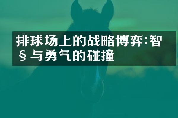 排球场上的博弈:智慧与勇气的碰撞