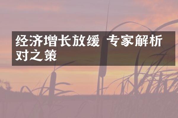 经济增长放缓 专家解析应对之策